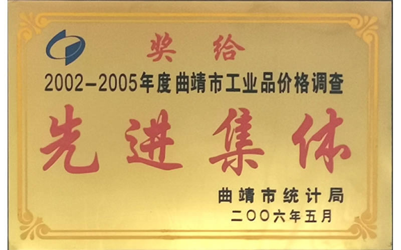 先進(jìn)集體（2006年）